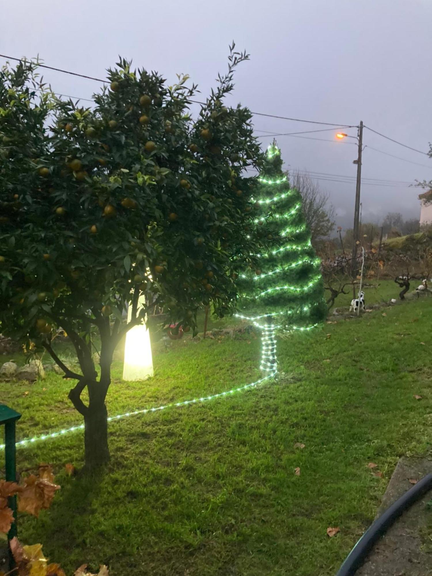 Appartamento A Casa Da Rapariga De Cabelo Azul Manteigas Esterno foto